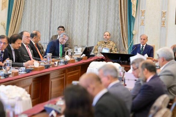 PM Shehbaz Orders Digitisation of National Tariff Commission to Enhance Transparency