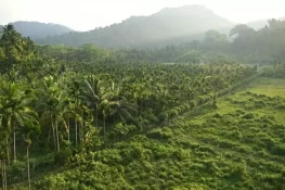 Indian Opposition Slams Nicobar Megaport Plan as ‘Destruction’