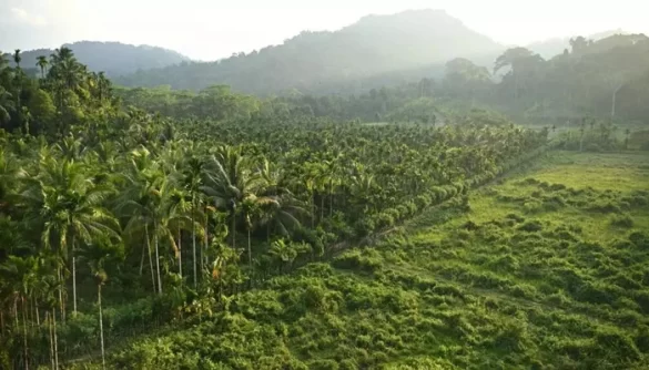 Indian Opposition Slams Nicobar Megaport Plan as ‘Destruction’