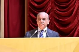 Operation Ghazab lil-Haq Continues With Full Resolve Against Terrorism: PM Shehbaz