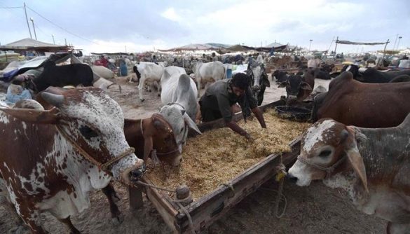 Government Announces Eid ul Adha 2026 Holidays Across Pakistan