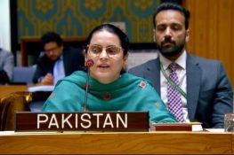 Pakistan Criticizes India at UN Security Council Over Terrorism and Human Rights Allegations