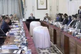 PM Shehbaz Hails Provincial Cooperation as NEC Approves Rs3.66 Trillion Development Plan