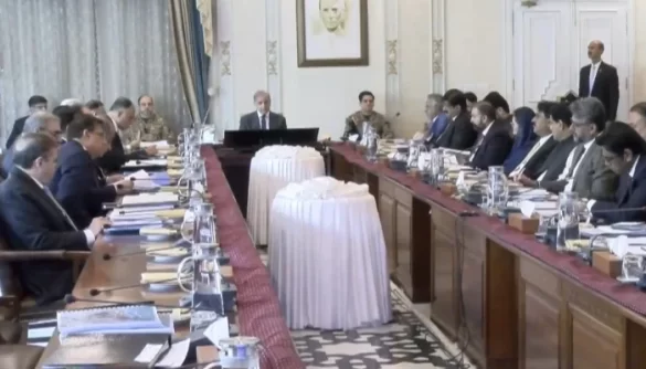 PM Shehbaz Hails Provincial Cooperation as NEC Approves Rs3.66 Trillion Development Plan