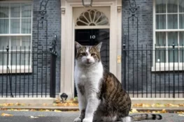 Larry the Cat Awaits His Seventh Prime Minister After Starmer’s Resignation