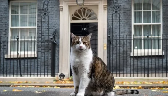 Larry the Cat Awaits His Seventh Prime Minister After Starmer’s Resignation