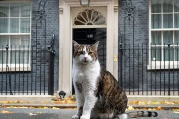 Larry the Cat Awaits His Seventh Prime Minister After Starmer’s Resignation