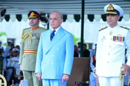 Pakistan Recognised Globally as a Flag-Bearer of Peace, Says PM Shehbaz Sharif