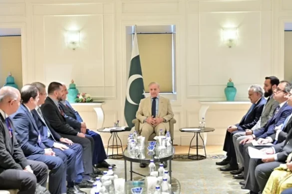 PM Shehbaz Invites Turkish Companies to Expand Investment in Pakistan