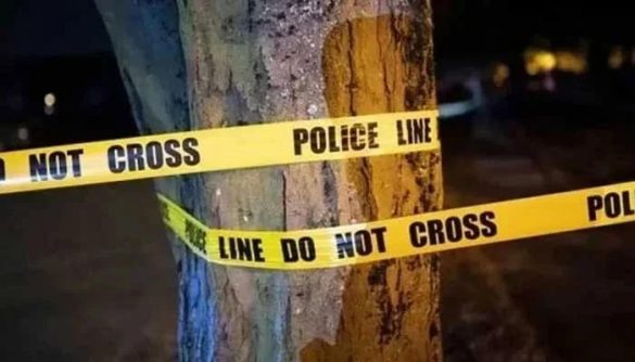 DNA of Three Suspects Matches Forensic Evidence in Lahore Foreign Women Sexual Assault Case