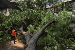 Six Killed as Building Collapses in Rain-Hit Mumbai, Schools Closed Amid Red Alert
