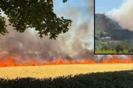 Wildfires spread across UK as Natural England warns south at highest risk this week