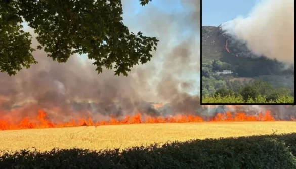 Wildfires spread across UK as Natural England warns south at highest risk this week