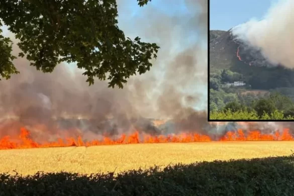 Wildfires spread across UK as Natural England warns south at highest risk this week
