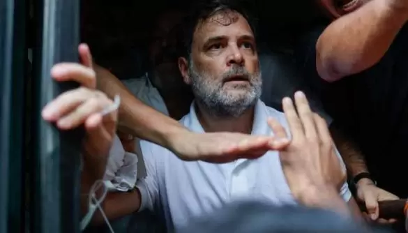 Rahul Gandhi Released After Detention During India Protest