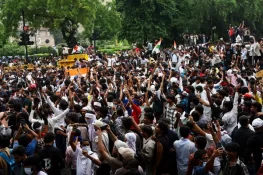 India Activists Demand Release of Detained ‘Cockroach’ Protesters After Minister’s Resignation