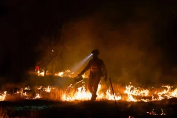Crete wildfire forces 8,000 to flee as three firefighters die across Greece
