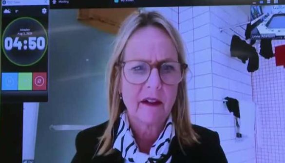 New Zealand Councillor Goes Viral After Joining Council Meeting from Bathroom