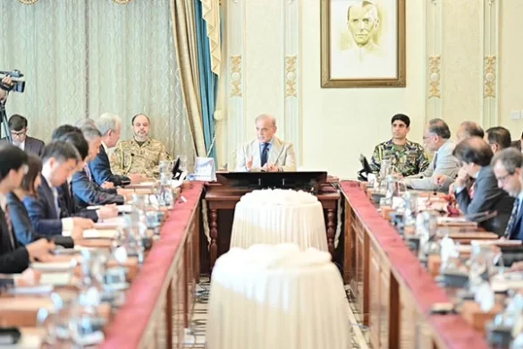 PM Shehbaz Seeks Stronger JICA Partnership in Minerals, Skills Development and SMEs