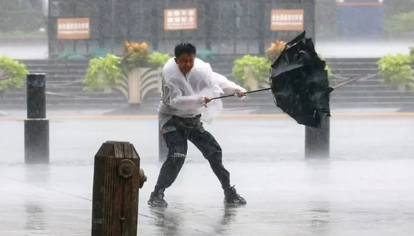 Shanghai Flooded as Typhoon Dolphin Hits China: How Severe Is the Damage?