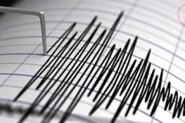 4.8-Magnitude Earthquake Jolts Balochistan, Tremors Felt in Zhob and Chaman