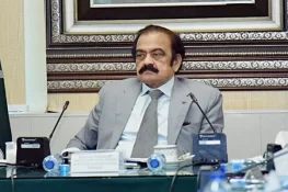 Rana Sanaullah Says New Provinces Debate Is Premature