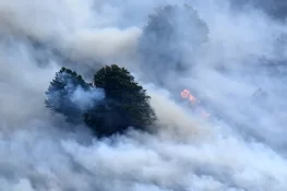 Wildfires, Heatwaves Pose Growing Threat to Air Quality and Health: UN
