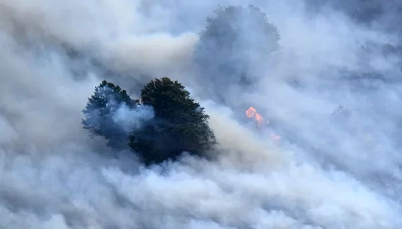 Wildfires, Heatwaves Pose Growing Threat to Air Quality and Health: UN