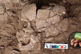 Scientists find evidence humans were using psychoactive plants 25,000 years ago