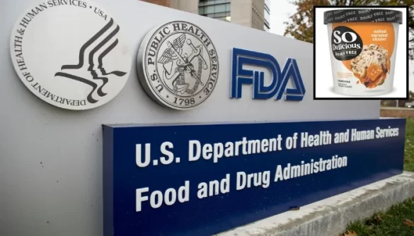 FDA warns of stones in popular non-dairy frozen dessert
