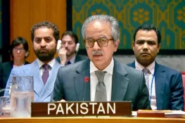 Pakistan urges Houthis to stop attacks on ships in Bab al-Mandab