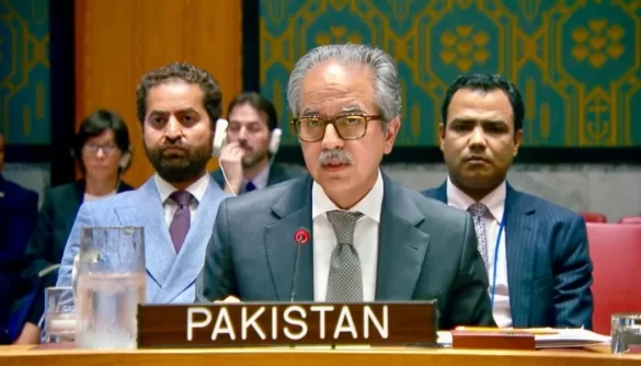 Pakistan urges Houthis to stop attacks on ships in Bab al-Mandab