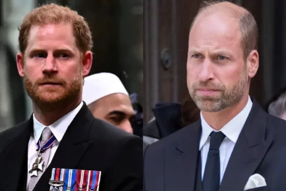Prince William rules out documentary reunion with Prince Harry