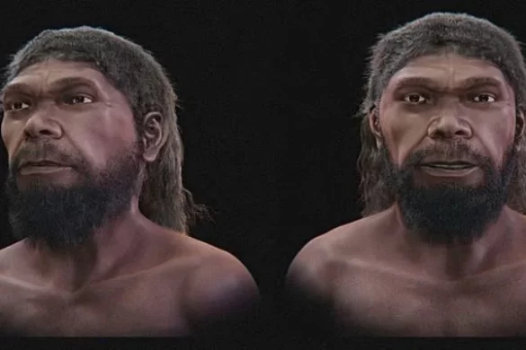 Scientists reconstruct 315,000-year-old face of one of earliest known humans