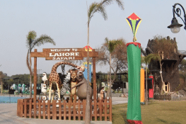 Lahore Zoo Adoption Scheme Raises Questions Over Animal Welfare