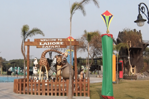 Lahore Zoo Adoption Scheme Raises Questions Over Animal Welfare
