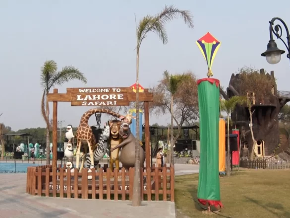 Lahore Zoo Adoption Scheme Raises Questions Over Animal Welfare