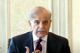 PM Shehbaz Sets Wheat Price at Rs4,500 per Maund, Orders Livestock Reforms