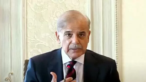 PM Shehbaz Sets Wheat Price at Rs4,500 per Maund, Orders Livestock Reforms